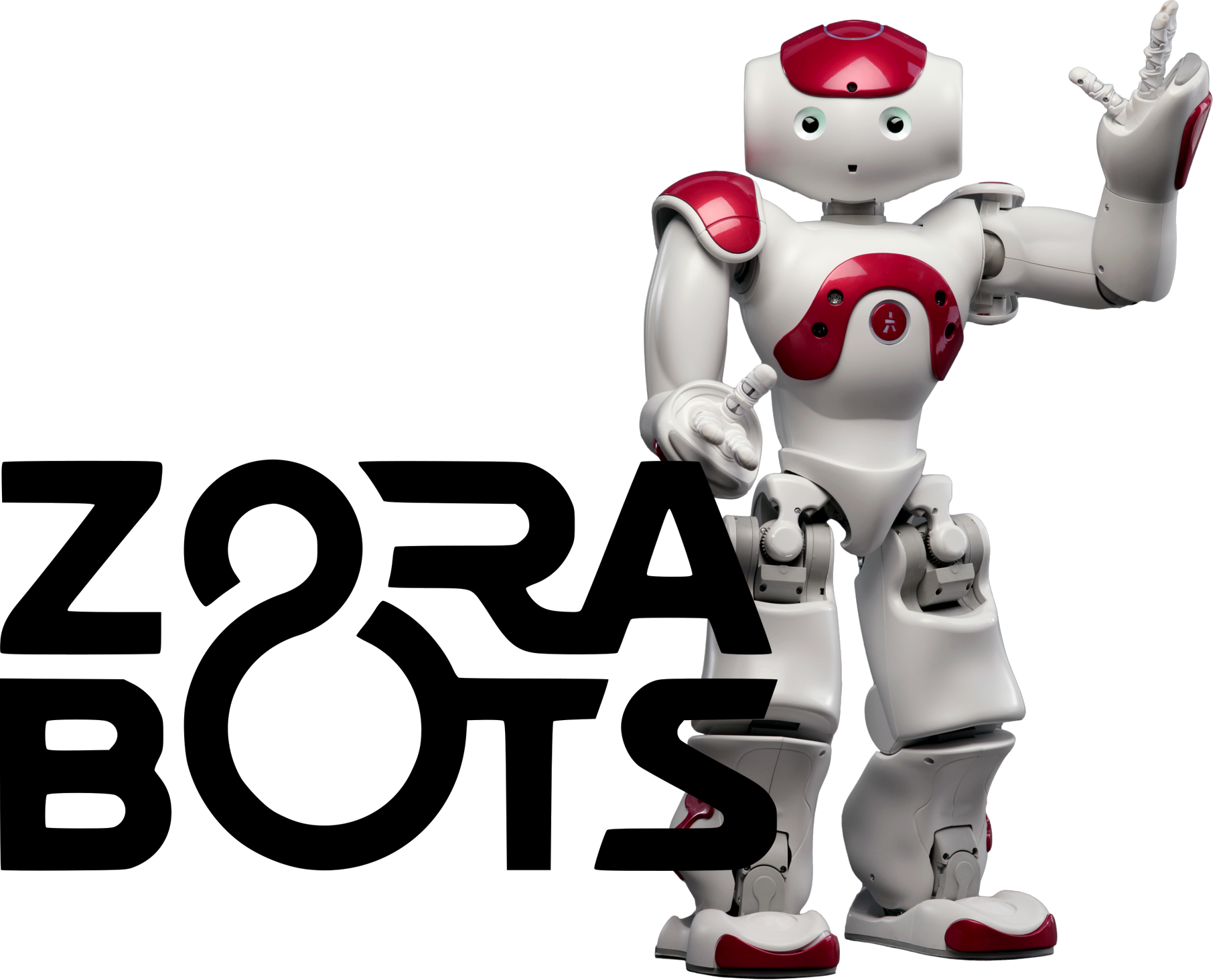 Nao robot best sale buy online